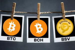 多數人只知中本聰創造了比特幣，他的這些帖子卻鮮為人知