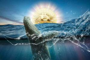 比特幣"富豪榜"上的巨鯨們，現在怎么樣了？