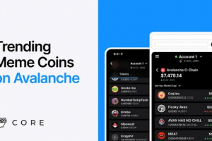 Avalanche (AVAX) 上的 Memecoins